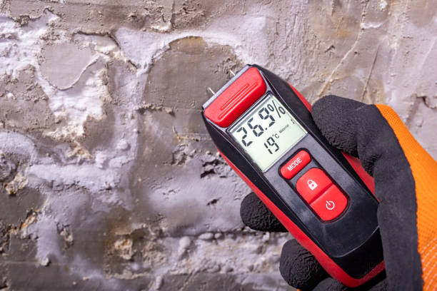 Best Residential Mold Remediation in Colfax, CA