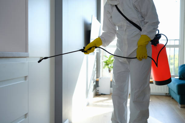 Best Kitchen Mold Remediation in Colfax, CA