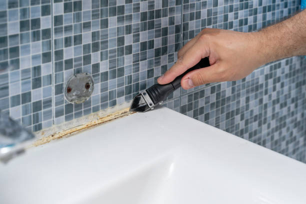 Best Basement Mold Remediation in Colfax, CA